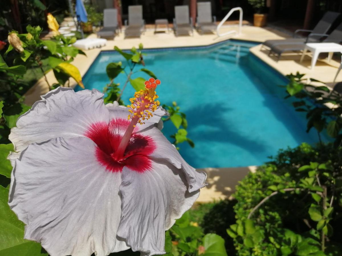 سانتا كلارا Villa Botero By Casa Mojito المظهر الخارجي الصورة